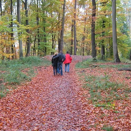 Vakantiehuis In De Vulkaaneifel * Wallenborn